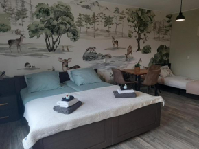 b&b de Wensput